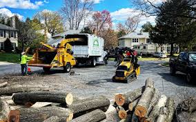 Best Tree Health Inspection  in Hubbard, OH